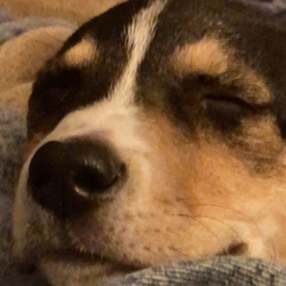 Meet your Posher, Breana